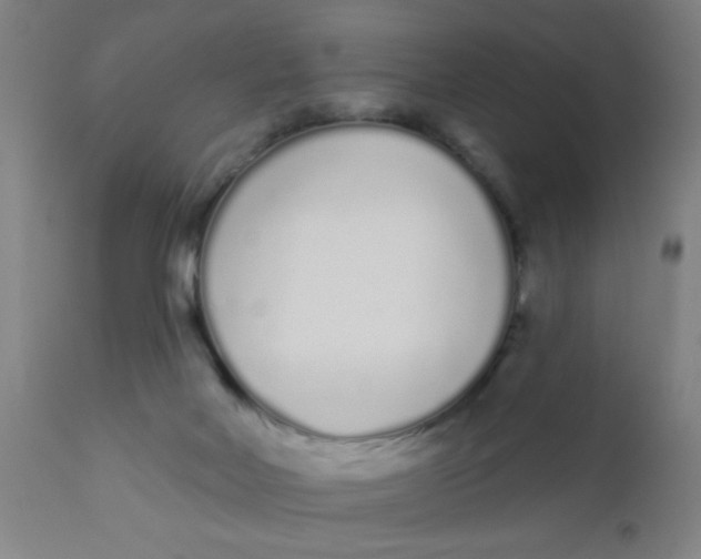 X0000110720026200907022056