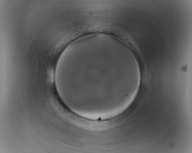 X0000110720027200907022056