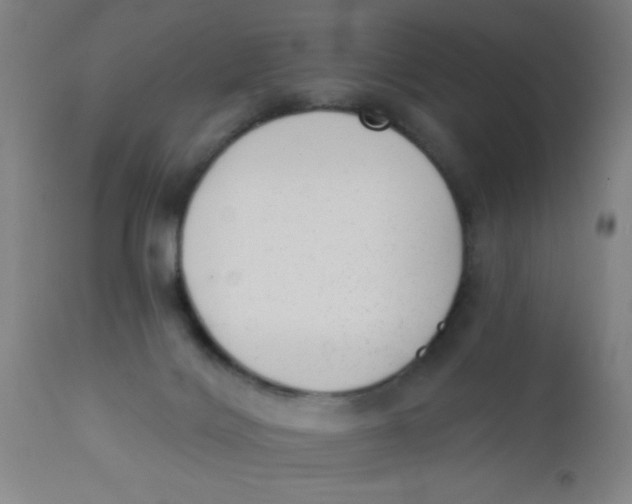 X0000110720028200907022056