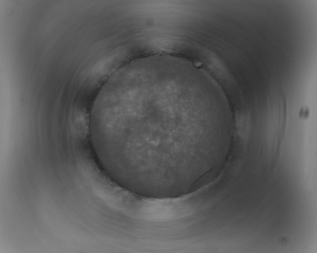 X0000110720029200907022056