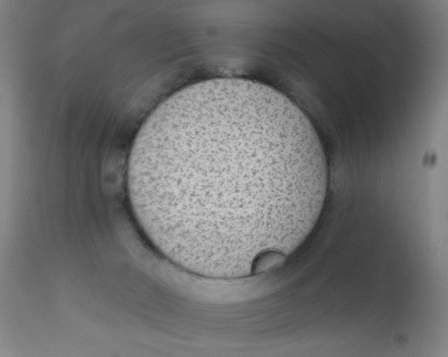 X0000110720030200907022056