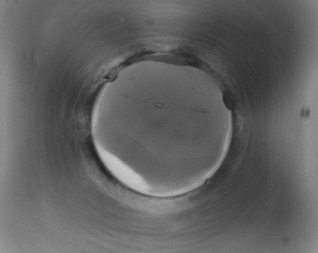 X0000110720031200907022056