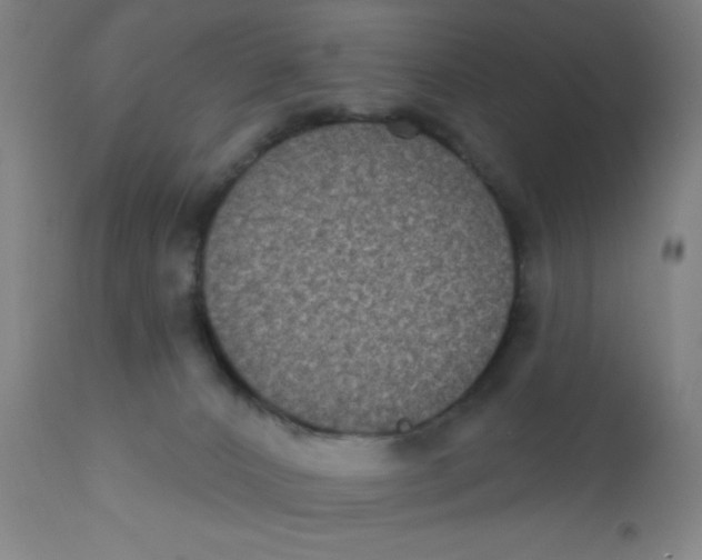 X0000110720032200907022056