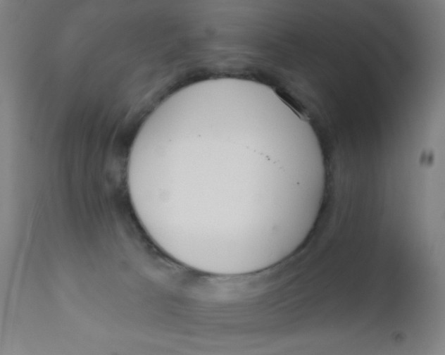 X0000110720033200907022056