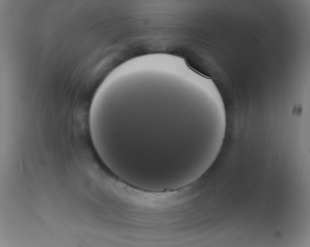 X0000110720035200907022056