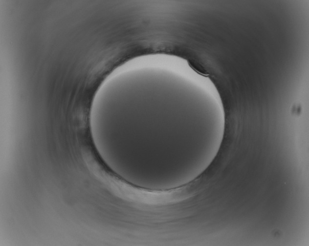 X0000110720039200907022056