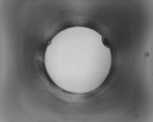 X0000110720040200907022056