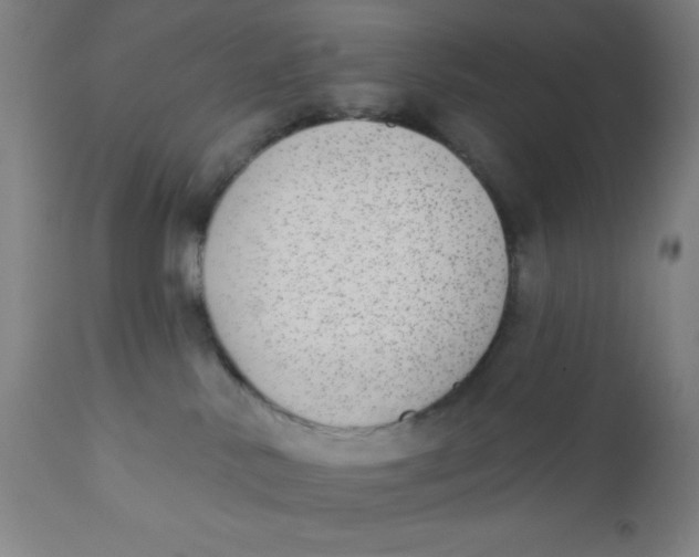 X0000110720042200907022056