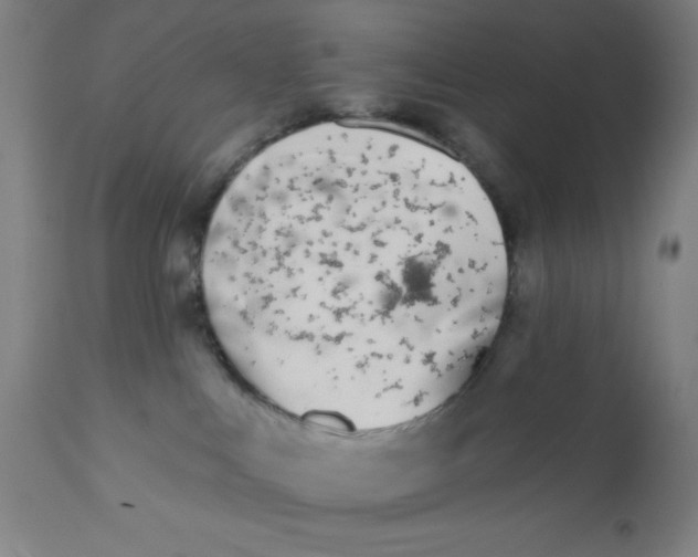 X0000110720043200907022056