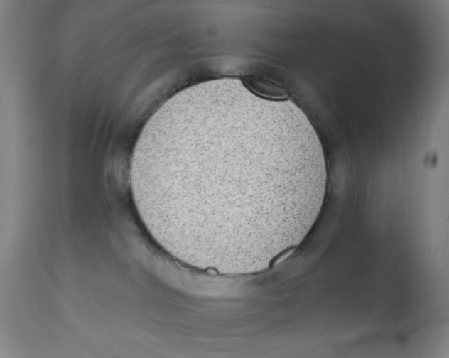 X0000110720044200907022056