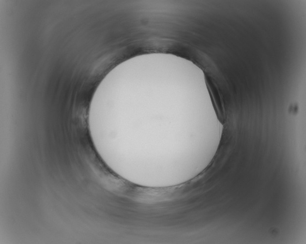 X0000110720045200907022056