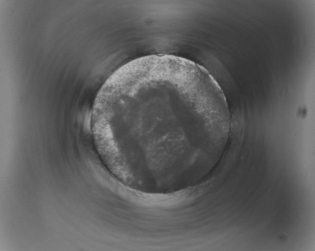 X0000110720046200907022056