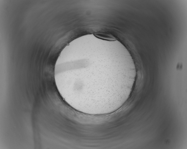 X0000110720048200907022056