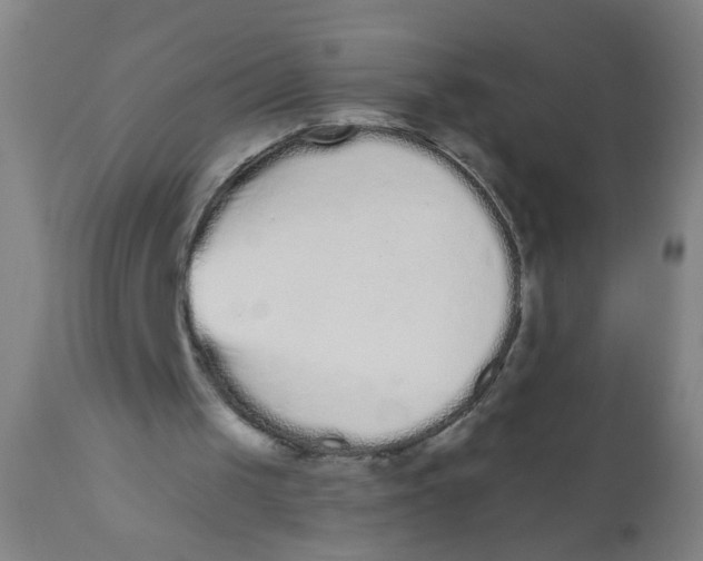 X0000110720049200907022055