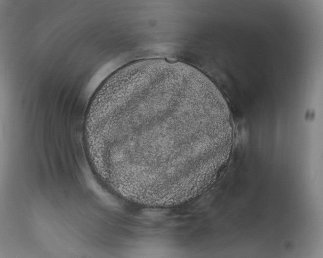 X0000110720051200907022056