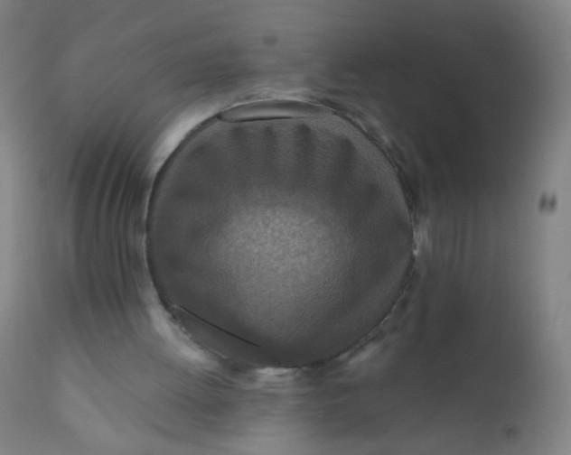 X0000110720052200907022056