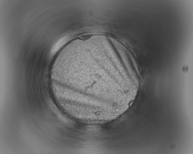 X0000110720053200907022056