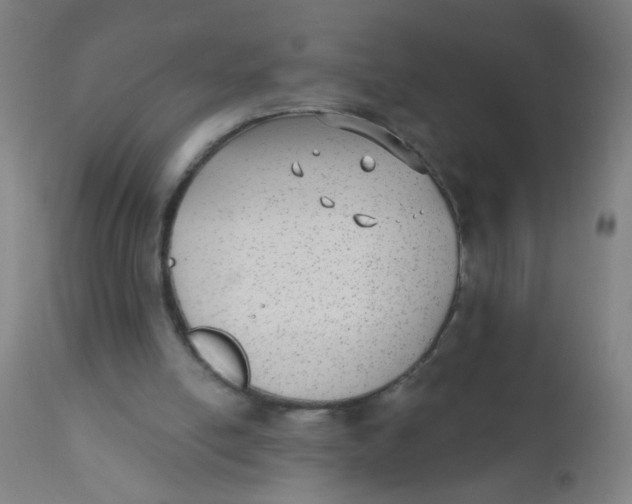 X0000110720054200907022056