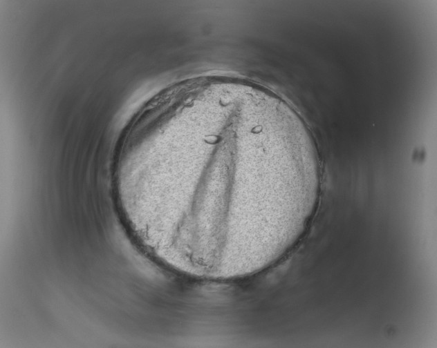 X0000110720055200907022056