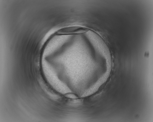 X0000110720056200907022056