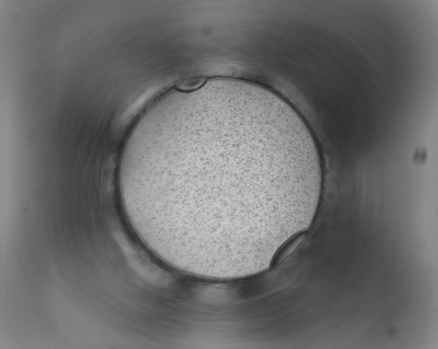 X0000110720058200907022056