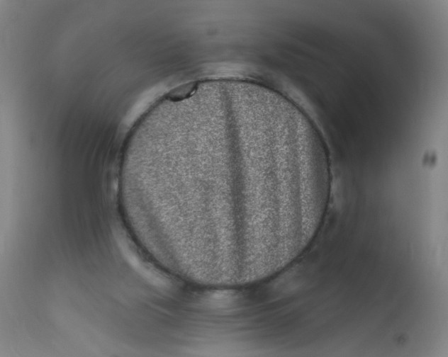 X0000110720059200907022056