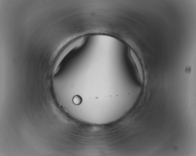 X0000110720060200907022056