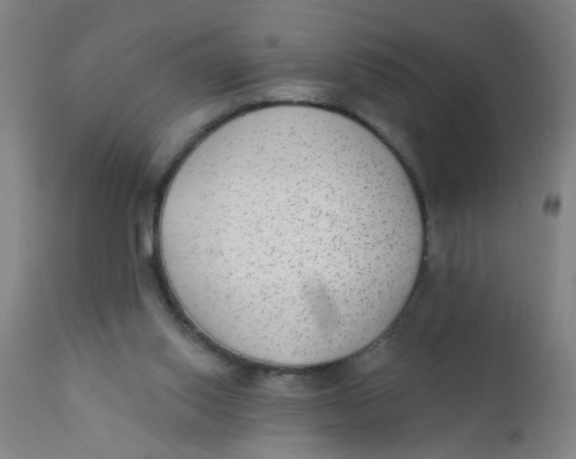 X0000110720062200907022056