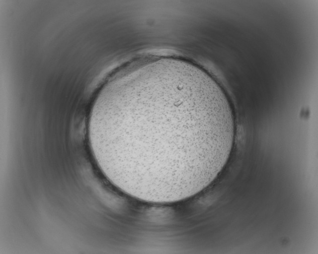 X0000110720063200907022056