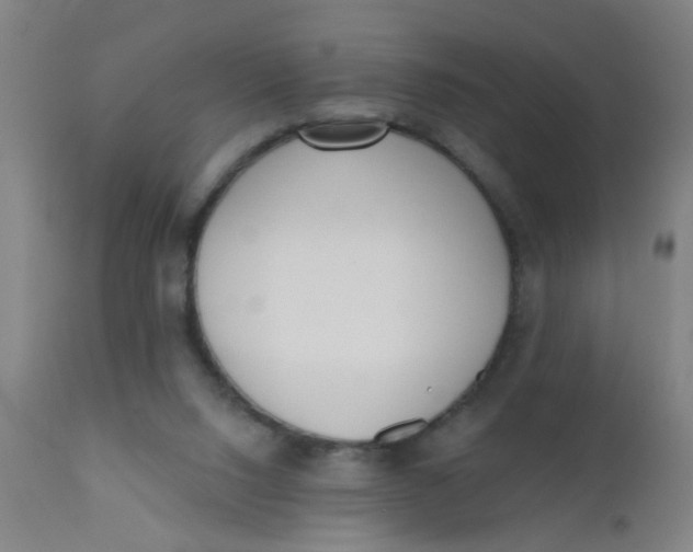 X0000110720064200907022056