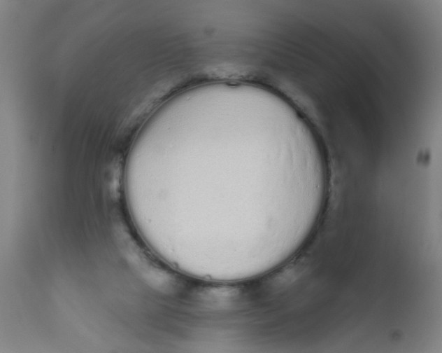 X0000110720065200907022056