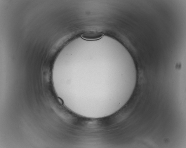 X0000110720068200907022056