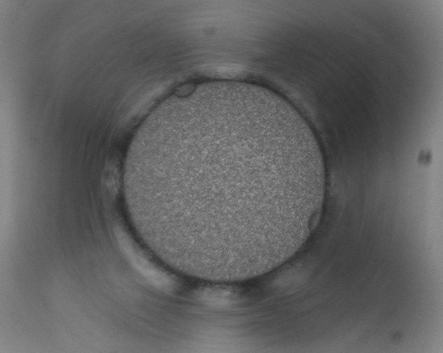 X0000110720069200907022056