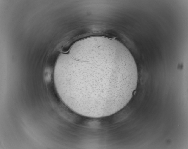 X0000110720075200907022056