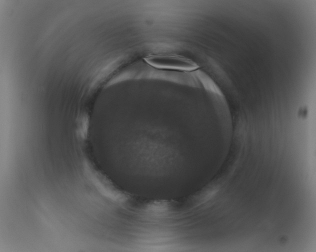 X0000110720076200907022056