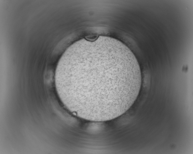 X0000110720077200907022056