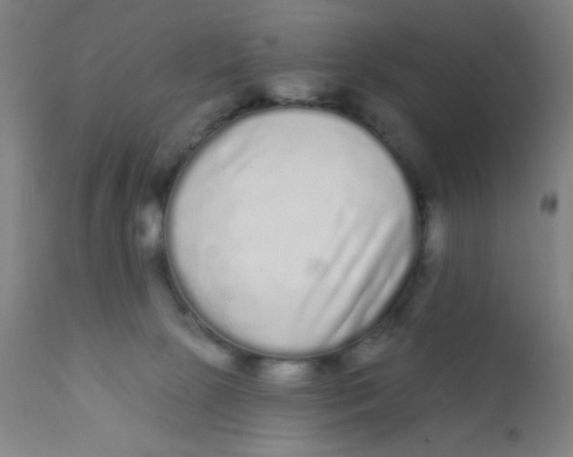 X0000110720081200907022056