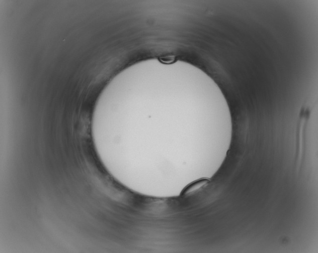 X0000110720083200907022056