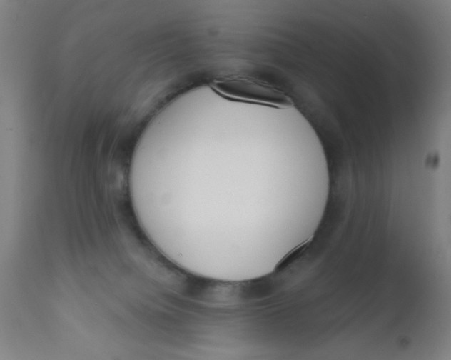 X0000110720084200907022056