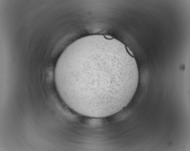 X0000110720085200907022056