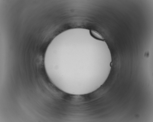 X0000110720087200907022056