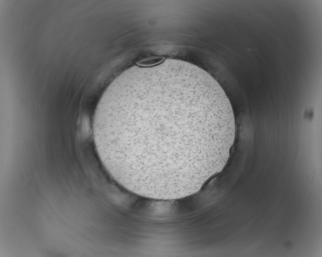 X0000110720089200907022056