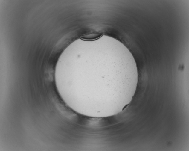 X0000110720090200907022056