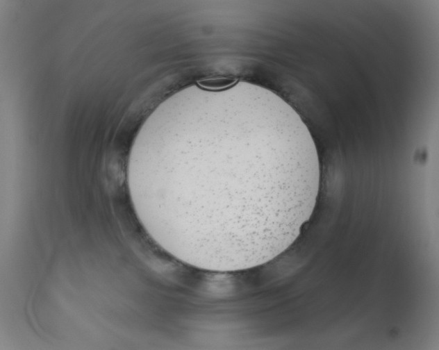 X0000110720091200907022056