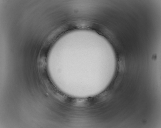 X0000110720093200907022056