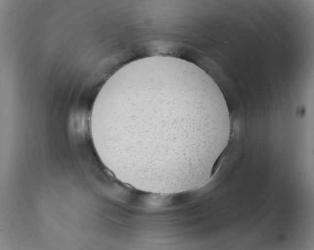 X0000110720094200907022056