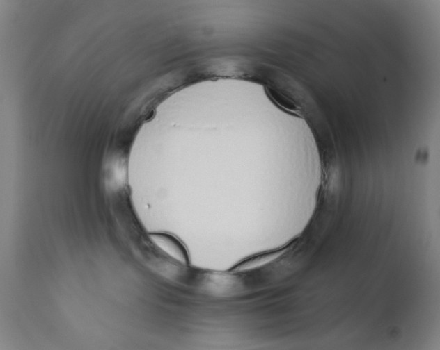 X0000110720095200907022056