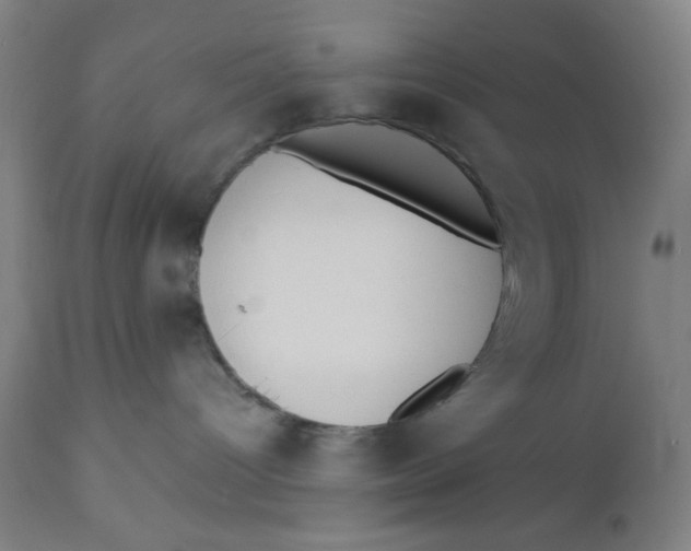 X0000110720096200907022056