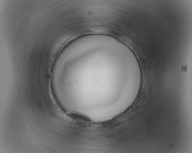 X0000110720097200907022055