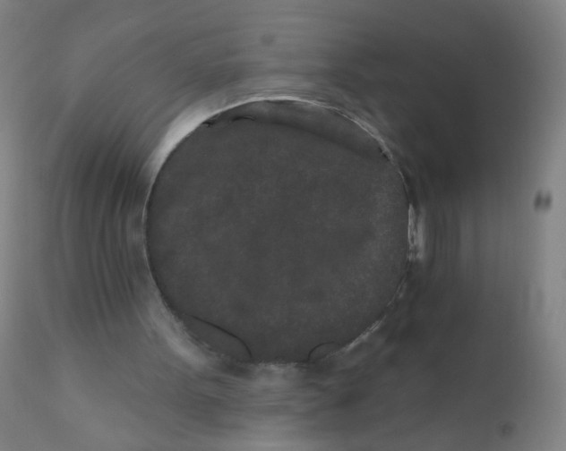 X0000110720099200907022055